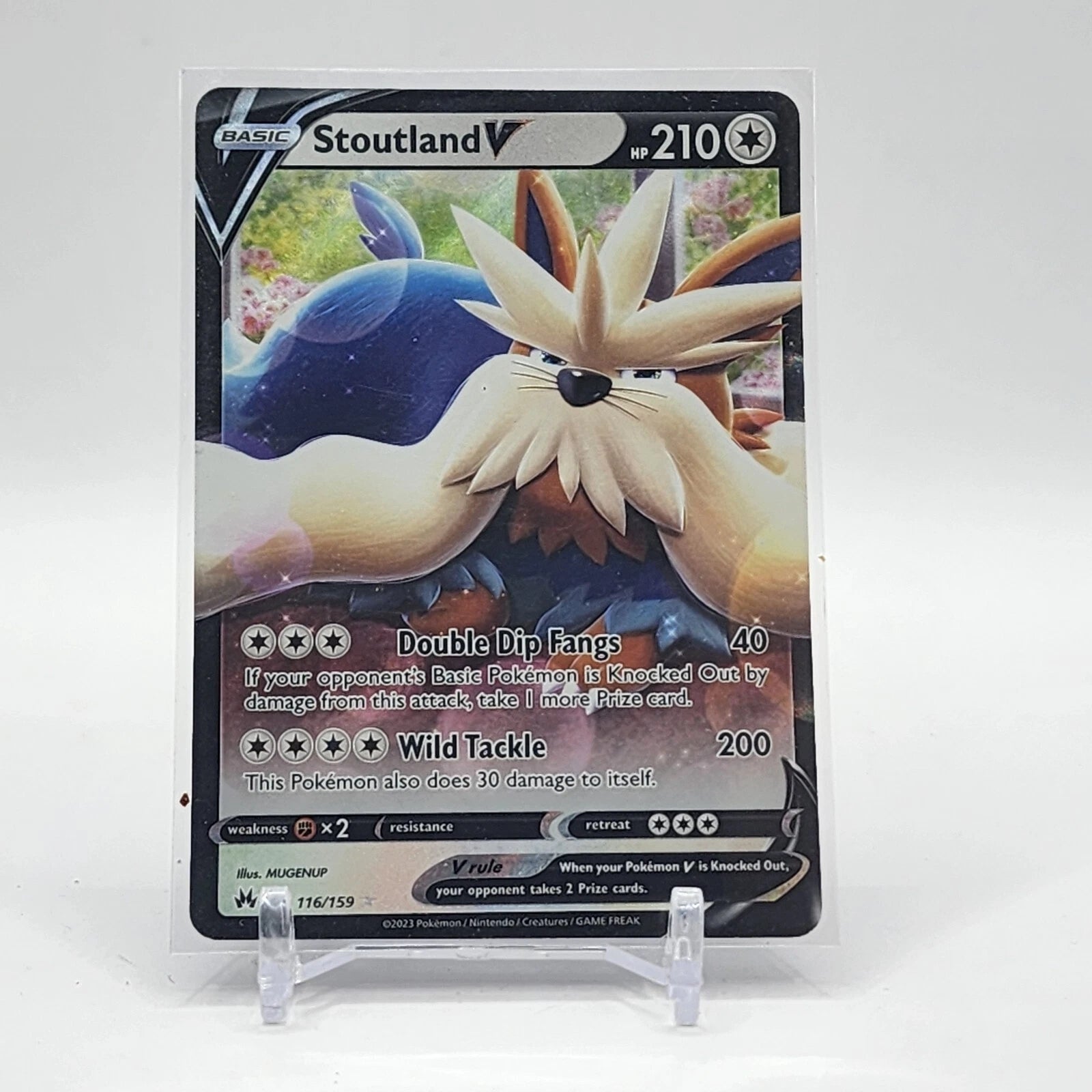 Stoutland V - 116/159 - Ultra Rare - Crown Zenith - NM/M - Pokemon Card
