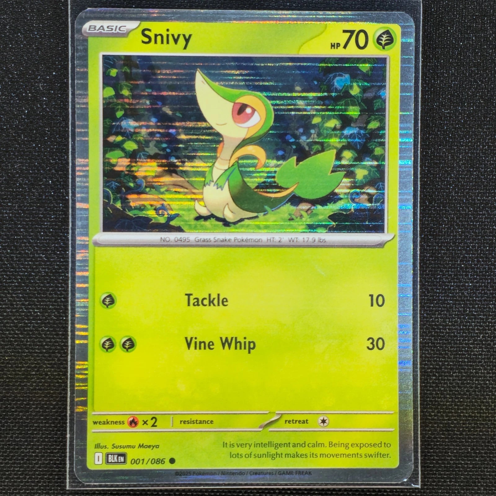 Snivy 001/086 Holo Promo - Black Bolt - Pokemon Card